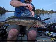 32.5" Walleye caught on Georgian Bay