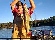 29" Walleye caught on Gun Lake