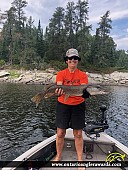 31.75" Northern Pike caught on Winnipeg River 