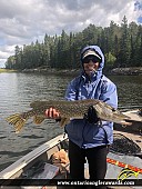 31" Northern Pike caught on Winnipeg River 