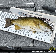 19" Smallmouth Bass caught on Lake Nipissing
