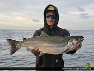 31" Coho Salmon caught on Lake Ontario