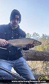 24" Whitefish caught on Stoney Lake