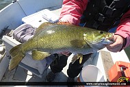 23" Smallmouth Bass caught on Rice Lake