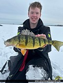 14" Yellow Perch caught on Lake Couchiching