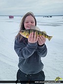 14" Yellow Perch caught on Lake Simcoe