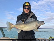 26.75" Walleye caught on Lake Erie