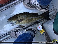 21" Smallmouth Bass