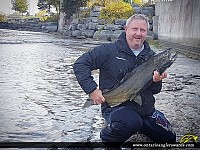 36.5" Chinook Salmon