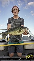 20.5" Largemouth Bass