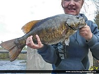 28" Smallmouth Bass