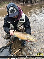 23" Brown Trout