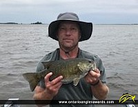 17.5" Smallmouth Bass