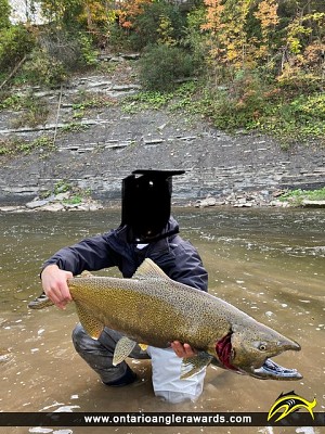 36" Chinook Salmon caught on Credit River