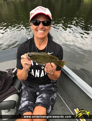 10.5" Rock Bass caught on Winnipeg River 