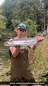 26.5" Rainbow Trout caught on Whitemans Creek