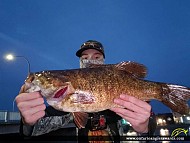 20" Smallmouth Bass caught on Moira River