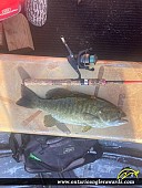 20" Smallmouth Bass caught on Detroit River