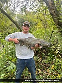 37" Chinook Salmon caught on Cobourg Brook
