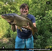 33" Carp caught on Canagagigue Creek