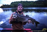 31" Lake Trout caught on Big Hawk Lake