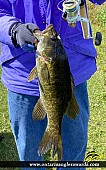 19" Smallmouth Bass caught on Rice Lake