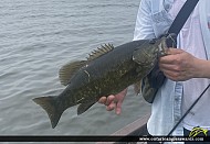 17" Smallmouth Bass caught on Rice Lake