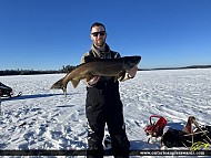 33.5" Lake Trout caught on Minnitaki Lake