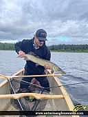 39" Muskie caught on Lake Traverse