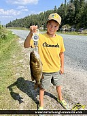18.5" Largemouth Bass caught on Louise Lake