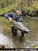36" Chinook Salmon caught on Big Creek