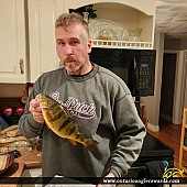 13.50" Yellow Perch caught on White Lake