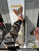 40.5" Northern Pike caught on Oak Lake
