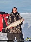 26" Whitefish caught on Lake Simcoe 