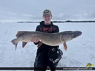 43" Northern Pike caught on Georgian Bay