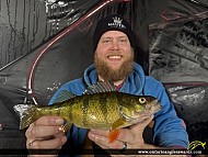 12" Yellow Perch caught on Georgian Bay