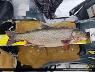21" Brook/Speckled Trout caught on Arpin Lake