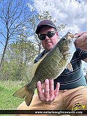 17.5" Smallmouth Bass caught on Lake Nipissing 
