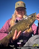 18.25" Smallmouth Bass caught on Lake of the Woods