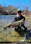32.5" Rainbow Trout caught on Ganaraska River