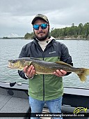 28.5" Walleye caught on Lake of the Woods