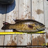 18" Smallmouth Bass caught on Winnipeg River System