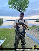 13.5" Yellow Perch caught on Dog Lake