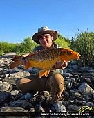 32" Carp caught on Georgian Bay