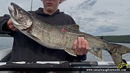 31" Lake Trout caught on Highwind Lake 