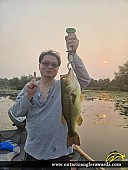 19" Largemouth Bass caught on Rice Lake