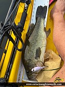 19" Largemouth Bass caught on Sparrow Lake 