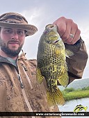10" Rock Bass caught on Cranberry Lake