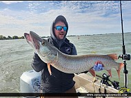48" Muskie caught on Lake St Clair