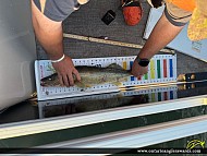 27.5" Walleye caught on Eagle Lake